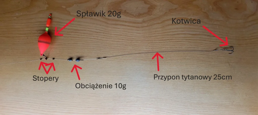 zestaw na żywca